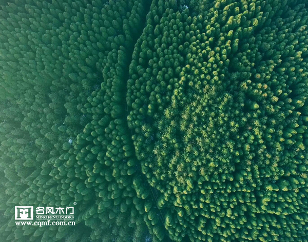 重庆名风木门：外景宣传拍摄
